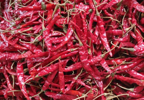 Dry Red Chilli - Organic Fresh Armour Variety With Stem, 12 Months Shelf Life, Store in Dry Place