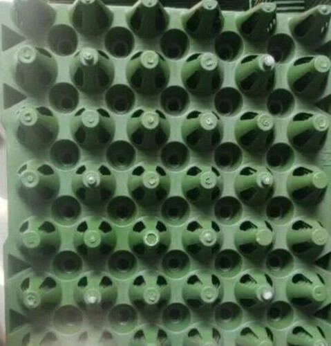 Green Egg Packaging Tray