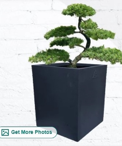 Plastic Roto Square Pot