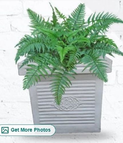 Square Plastic Planter