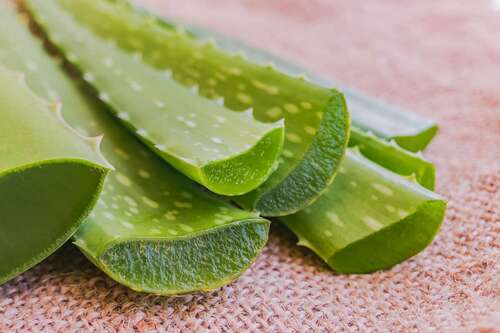 Aloe Vera Gel - Product Type: Botanical Product