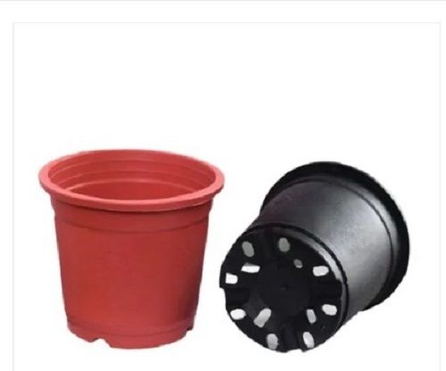 6 inch Plastic Nursery Pots