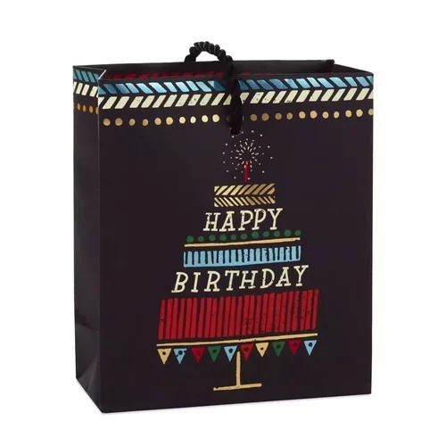 Kraft Paper Gift Bag - Color: Multi