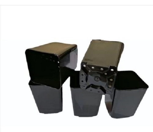 Polypropylene Square Nursery Pot - Plastic, Lightweight Design | Glossy Finish, Crack Resistant, Easy to Clean, Various Color Options