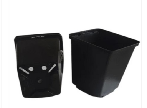 Square Nursery Pot - Plastic, Lightweight Design, Various Colors Available | Easy to Clean, Glossy Finish, Timely Delivery