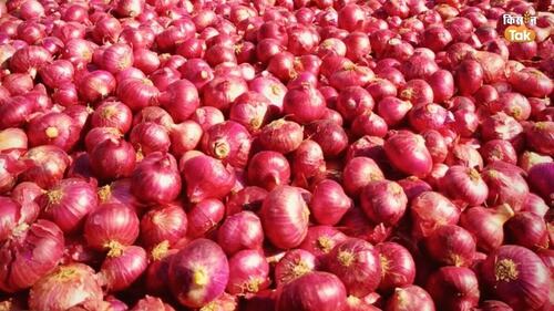 Red Onion  - Moisture (%): 50