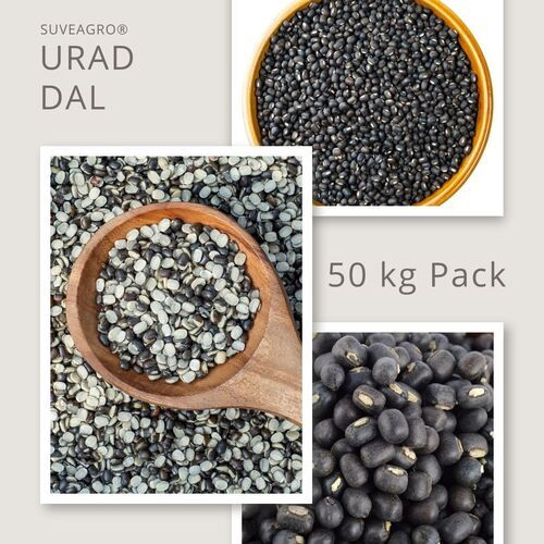 Black Gram (Urad Dal Chilka) - Admixture (%): 0.5%