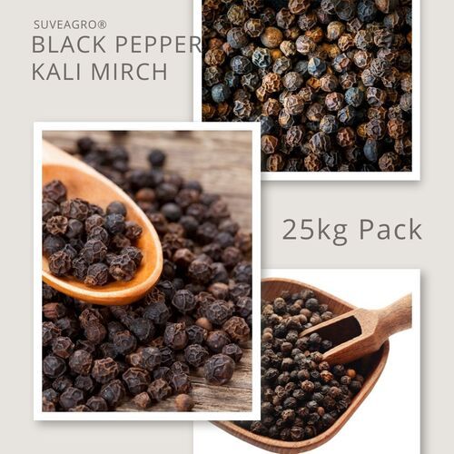 Black Pepper - Grade: 550Gl