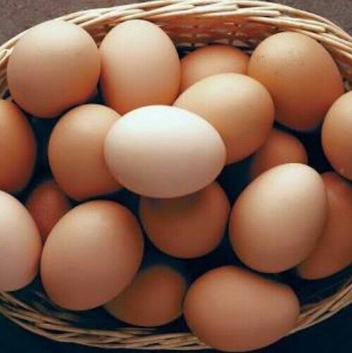 Brown Eggs - Egg Origin: Chicken