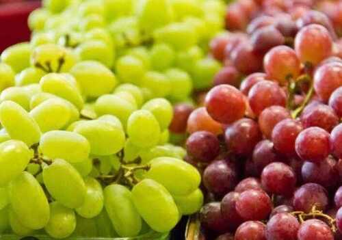 Fresh Grapes - Organic, Standard Size, Red & Green Color, Oval Shape | Sweet Taste, Non-Peeled, Very Good Quality, 100% Purity, 1 Week Shelf Life