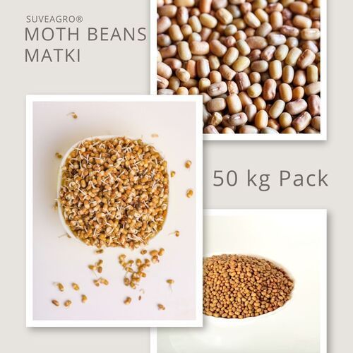 Moth Beans (Matki)