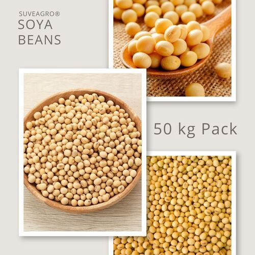 Premium Quality Soyabeans