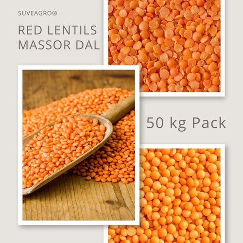 Red Lentils Whole (Akkha Masoor) - Admixture (%): 0.5%