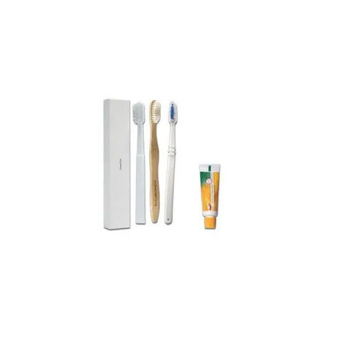 Hotel Dental Toothbrush Kit