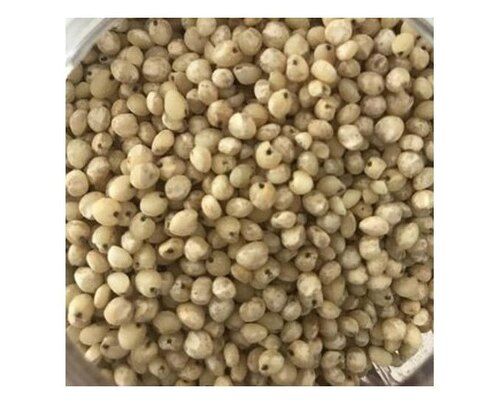 Natural White Millet Seed