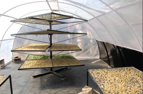 solar dryer