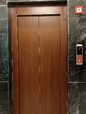 Passenger Lift - Polished Finish, Rectangular Shape | Modern Garuda Series Design, Overload Holding Stop Safety Device