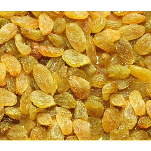 Dried Raisin - Color: Goldenyellow