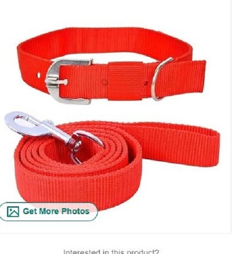 Dog Collar And Leashes