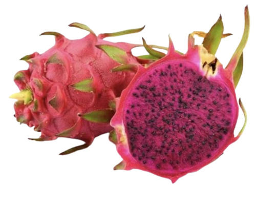 Fresh Dragon Fruit