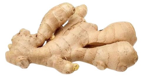 Fresh Ginger