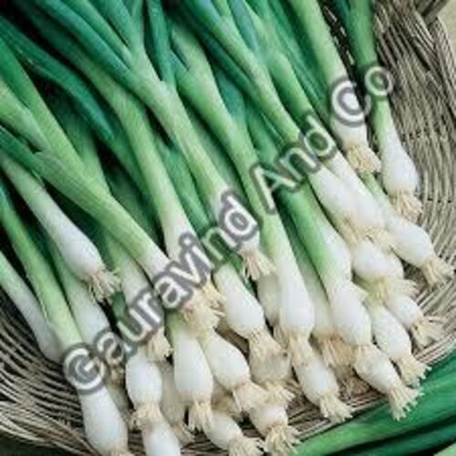 Fresh Green Onion