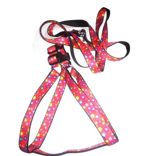 Dog Printing Harness