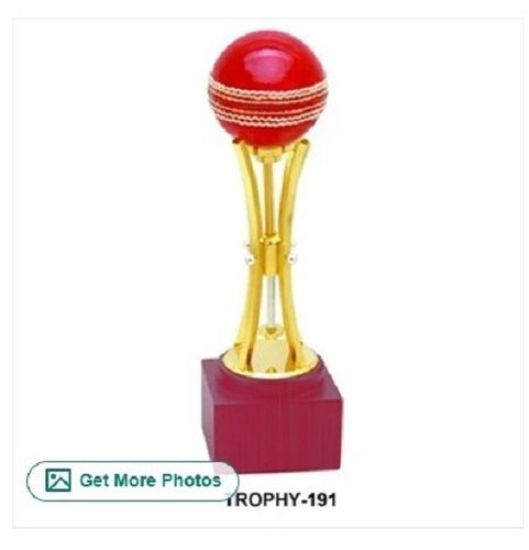 Metal Cricket Sports Trophy