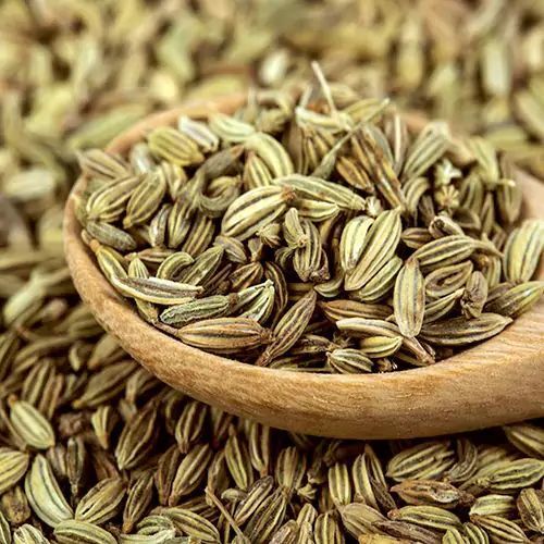 Fennel Seeds