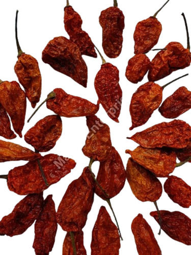 Bhut Jolokia Red Chilli