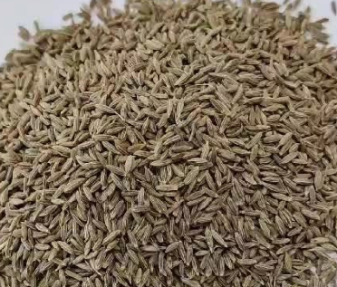 Cumin Seed