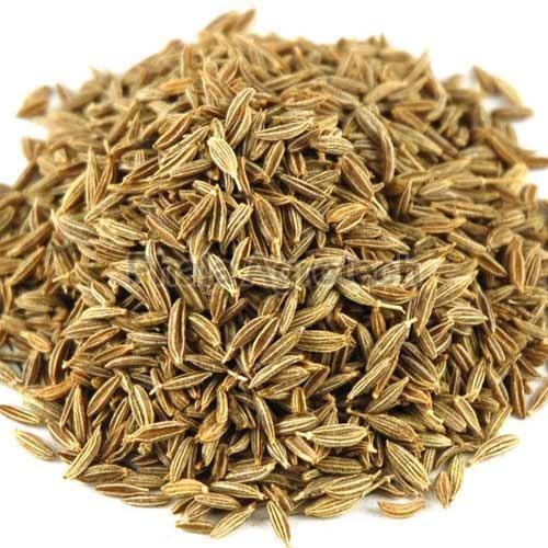 Cumin Seeds - Whole Elongated, Natural Dried, 100% Pure, Very Good Quality, Good for Health, Brown Color, Grade A, Shelf Life of 1 Year, Store in Cool & Dry Places