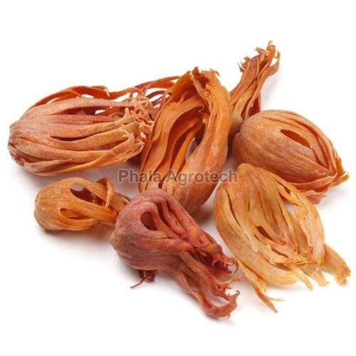 Dried Mace Spice