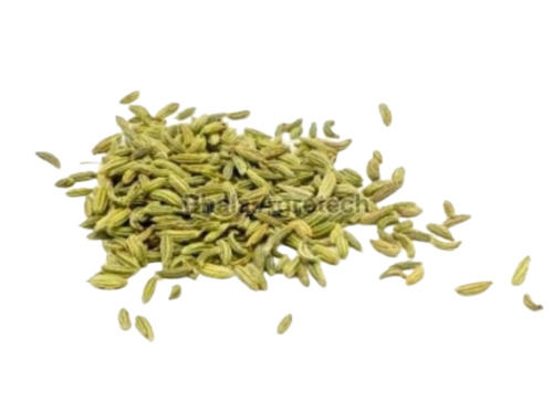 Fennel Seeds 