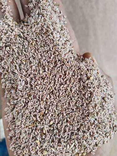 Isabgol Seed - Purity: 100%