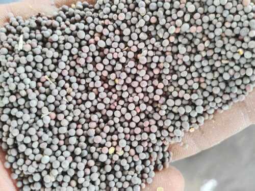 Mustard Seed - Purity: 100%