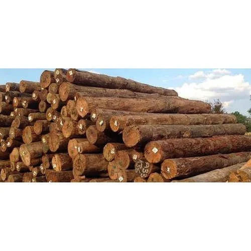 Brown Pine Wood Logs