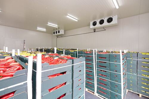 Cold Storage Room - Color: White