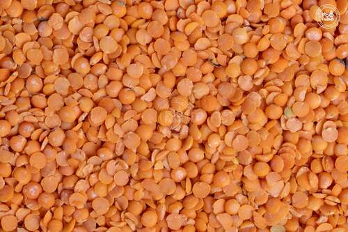 Splited Masoor Dal - Dried Red Lentils, 100% Pure, Easy To Digest, High In Protein, Nutrition Enriched, Gluten-Free, Vegetarian