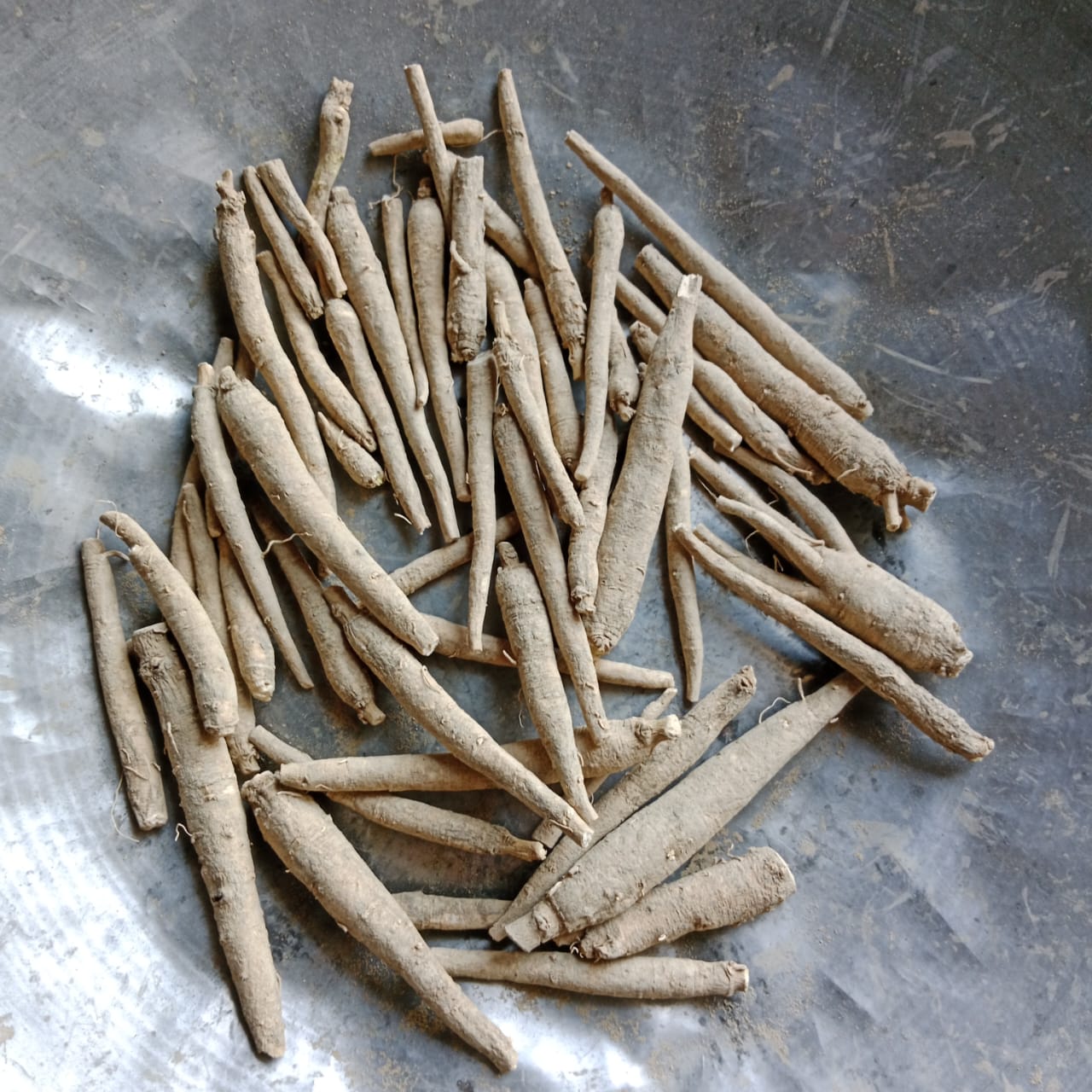 Raw Ashwagandha Roots - Age Group: For Adults