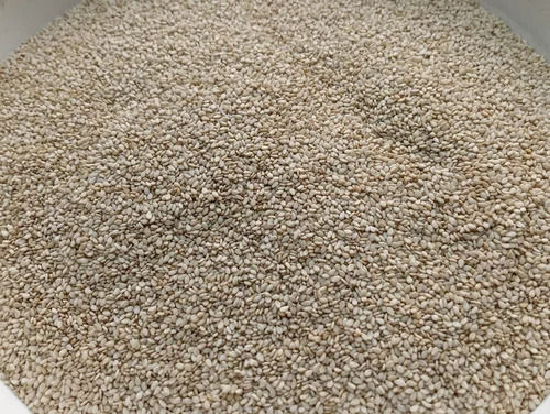 Golden Natural Sesame Seeds