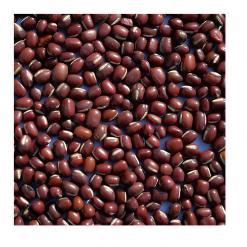 Adzuki Beans