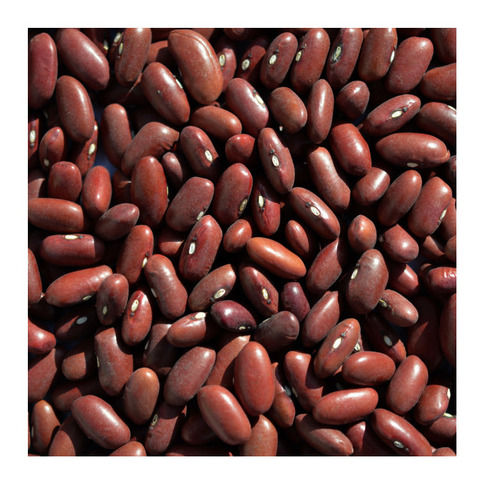 kidney beans