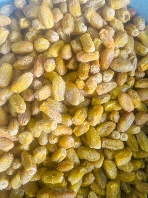 Dry Dates - Color: Yellow