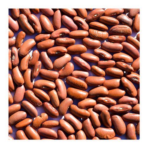 kidney beans