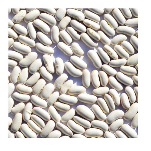 White Kidney Beans