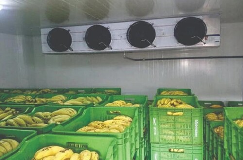 Automatic Cold Storage Room - Fully Automatic Customized Dimensions Metal Construction 2 MT Capacity | Single/Three Phase Emerson/Bitzer/Copeland Compressor 220V-440V Voltage