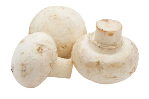 Button Mushroom - Fresh Quality, 100% Pure Whole Vegetable | Cultivated, Good for Health, White Color, Small Size