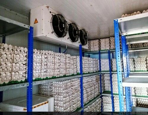 Eggs Cold Storage Room