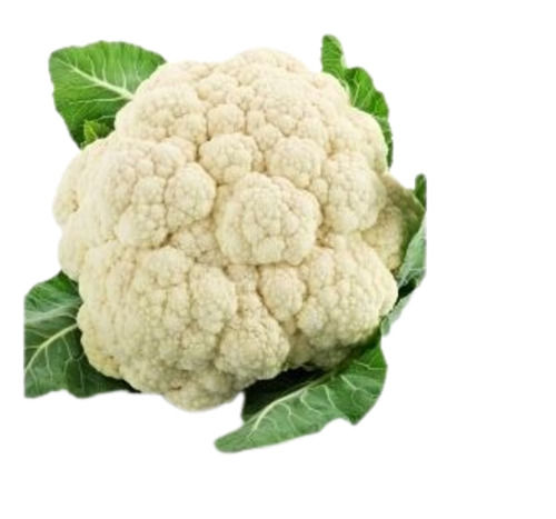 Fresh Cauliflower